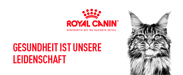 royal_canin_katze_fhn_indoor_trockenfutter_gesundheit_web.jpg