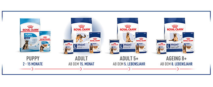 shn-maxi-wet-loaf-de-module-4.jpg