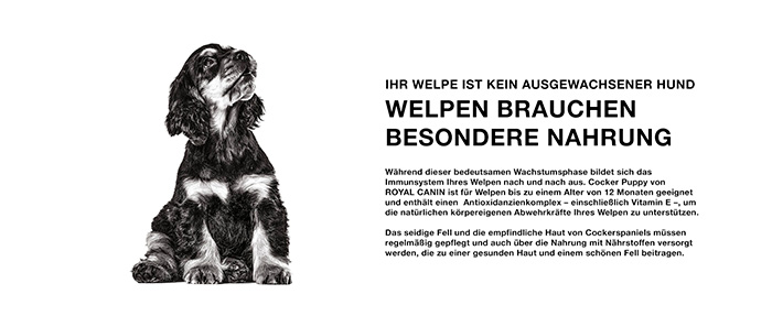 royal-canin-cocker-puppy-module-2.jpg