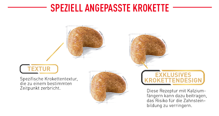 RoyalCanin_BHN_Cocker_angepasste_krokette.png