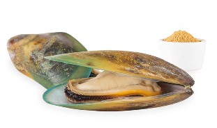 josera-muschel.jpg