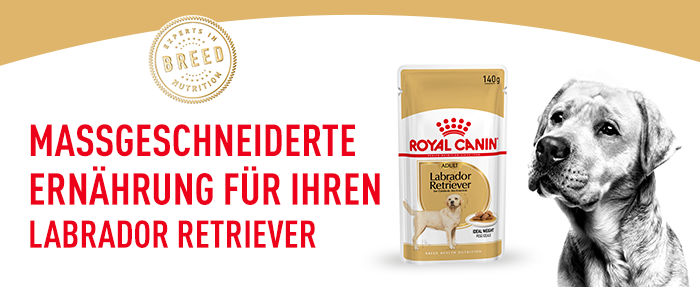 RoyalCanin_BHN_Labrador_Adult_Wet_massgeschneidert.png