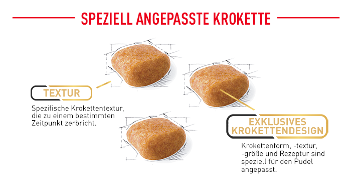 RoyalCanin_BHN_Poodle_Dry_angepasste_krokette.png