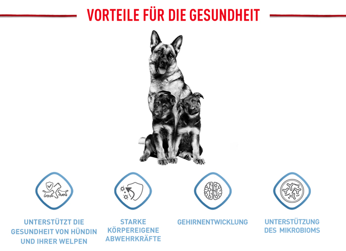 royal_canin_shn_hund_maxi_starter_vorteile_web.jpg