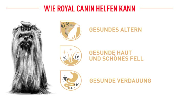 royal_canin_yorkshire_terrier_ageing_vorteile.jpg