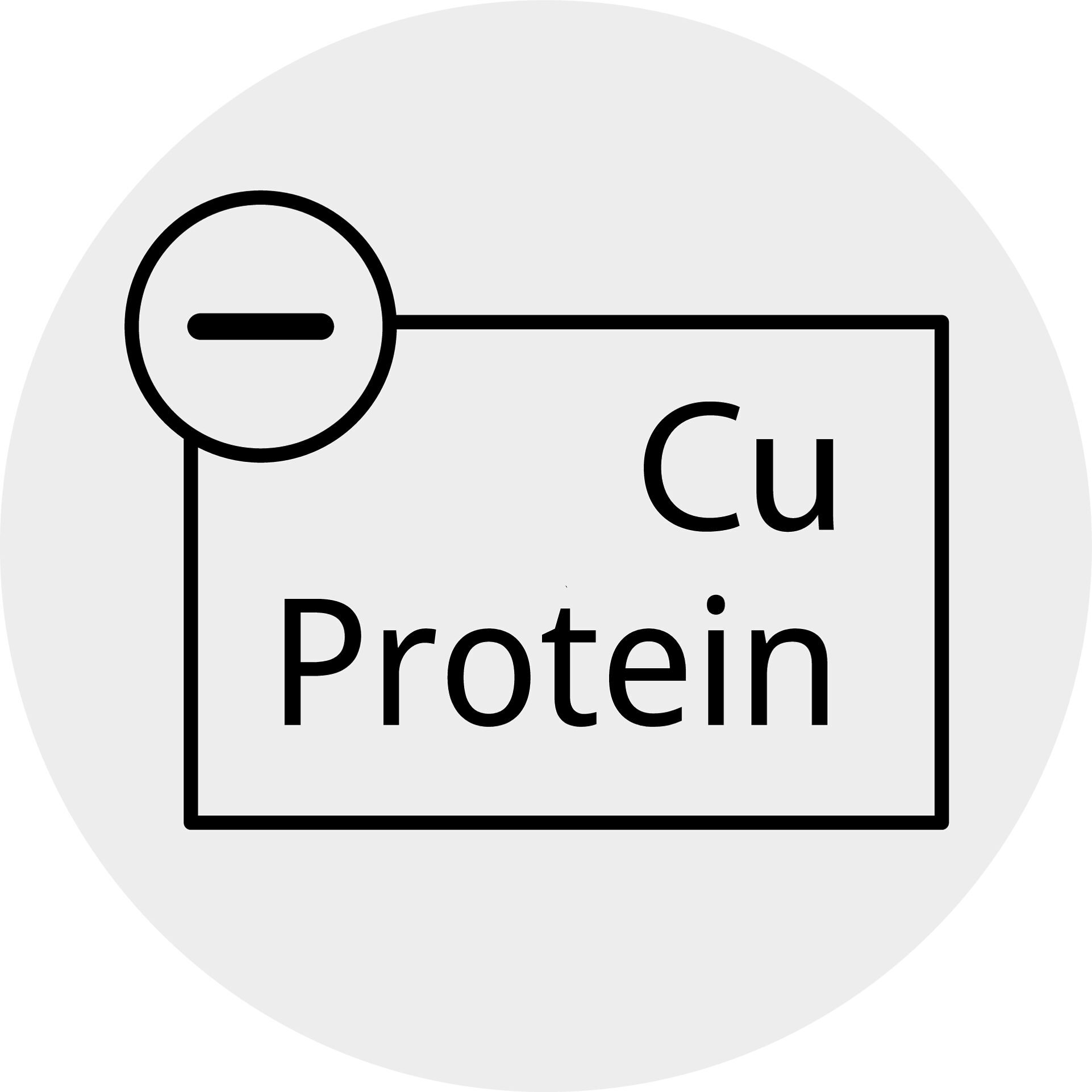 Help_Pikto_Cu-Prot_Liver4TwQDQHHSPYbQ.jpg