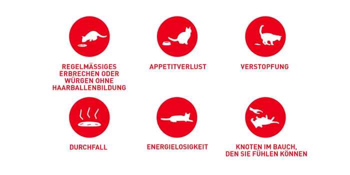 RoyalCanin_FCN_Hairball_Care_Gravy_probleme.jpg