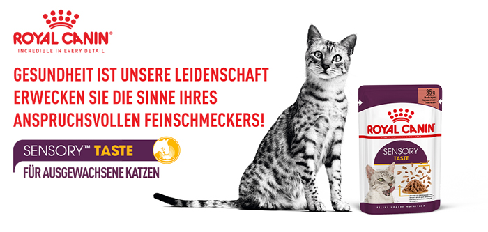 royal_canin_fhn_sensory_wet_nass_taste_gravy_sauce_erwecke_die_sinne_web.jpg