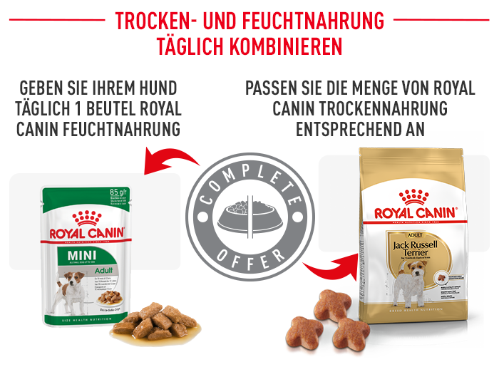 RoyalCanin_BHN_Jack_Russell_passendes_nassfutter.png