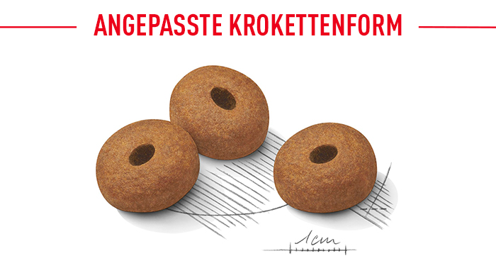 royal_canin_ccn_lightweight_care_trocken_maxi_angepasste_kroketten.jpg