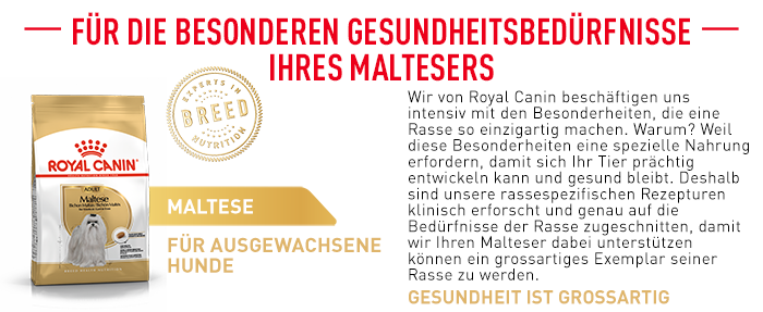 RoyalCanin_BHN_Malteser_besondere_beduerfnisse.png