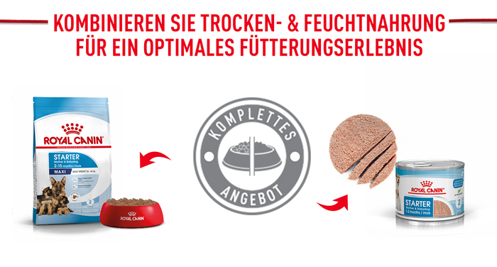 royal_canin_shn_hund_maxi_starter_mischfuetterung_web.jpg