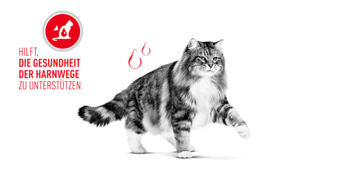 RoyalCanin_FCN_Urinary_Care_Dry_gesunde_harnwege.jpg