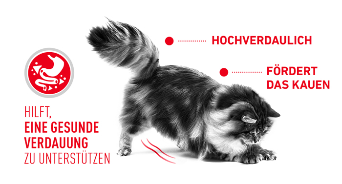 RoyalCanin_FCN_Digestive_Care_Dry_gesunde_verdauung.jpg