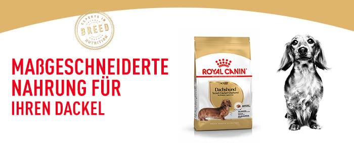 royal_canin_dachshund_massgeschneiderte_nahrung.jpg