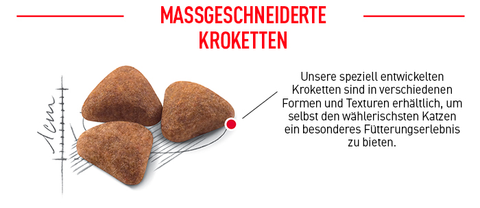 royal_canin_katze_fhn_indoor_trockenfutter_massgeschneiderte_kroketten_web.jpg