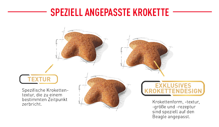 RoyalCanin_BHN_Beagle_Adult_angepasste_krokette.png