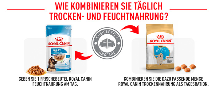 royal-canin-golden-puppy-module-6.jpg