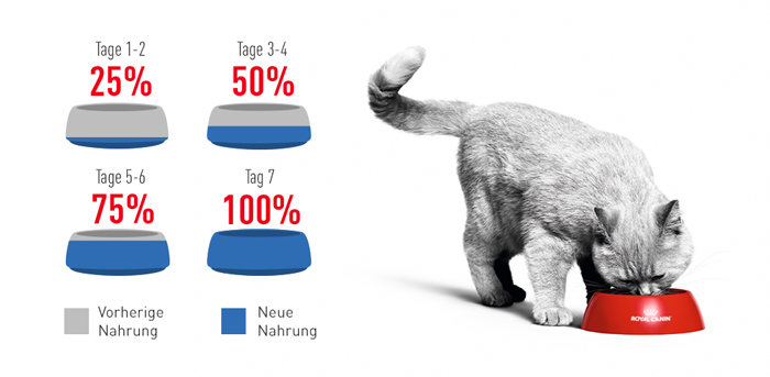 RoyalCanin_FCN_Light_Weight_Care_Dry_umstellung.jpg
