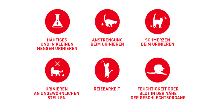RoyalCanin_FCN_Urinary_Care_Gravy_probleme.jpg