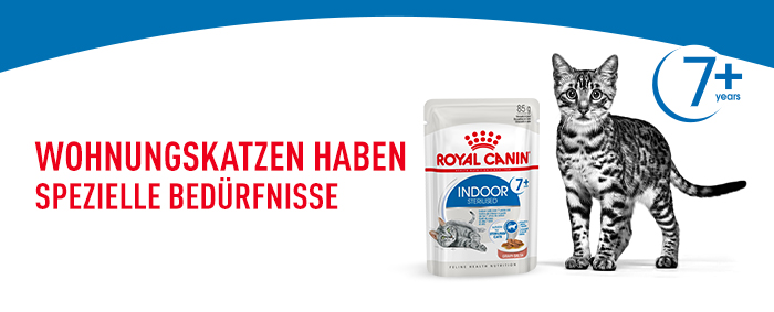 royal_canin_fhn_indoor_sterilized_7-sauce_gravy_beduerfnisse_wohnungskatzen_web.jpg