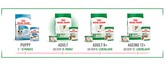 shn-mini-wet-de-module-4.jpg