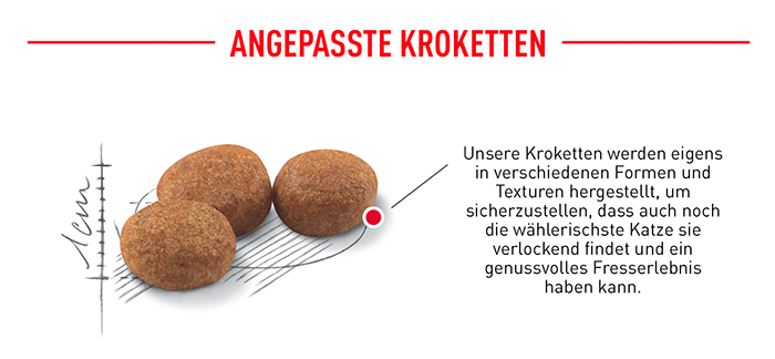 royal_canin_fhn_sterilised_angepasste_krokette_web.jpg