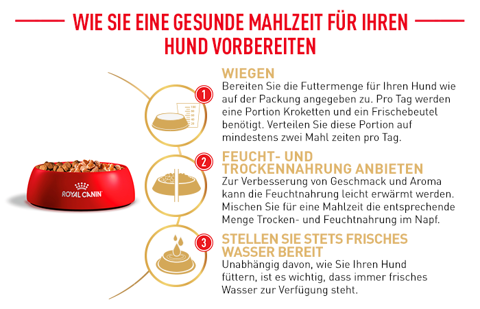 RoyalCanin_BHN_Pug_zubereitung.png