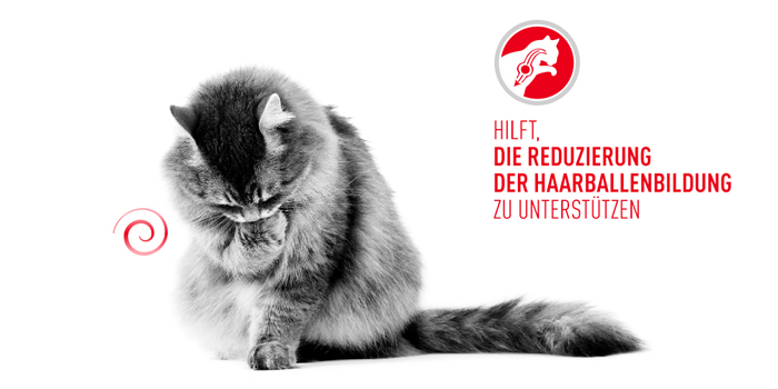 RoyalCanin_FCN_Hairball_Care_Jelly_haarballbildung.jpg