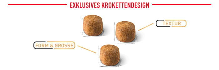 royal_canin_cat_adult_maine_coon_exklusives_krokettendesign_web_2.jpg