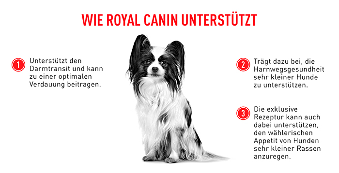 royal_canin_shn_x-small_adult_8-_wie_rc_unterstuetzt_web.jpg