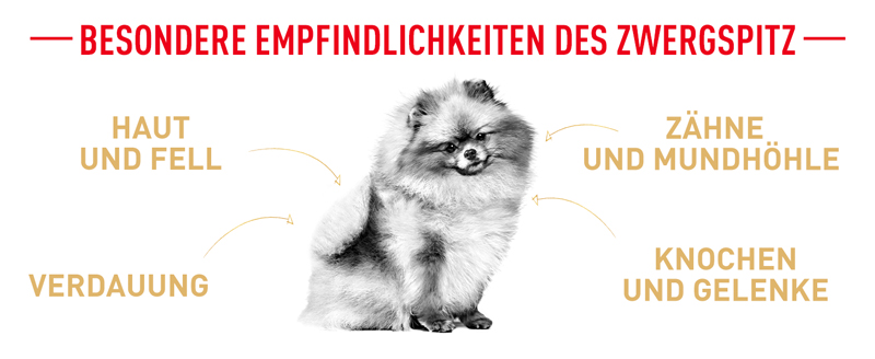 royal_canin_pomeranian_besondere_empfindlichkeit_web.jpg