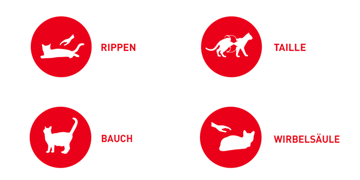 RoyalCanin_FCN_Appetite_Control_Care_Gravy_punkte.jpg