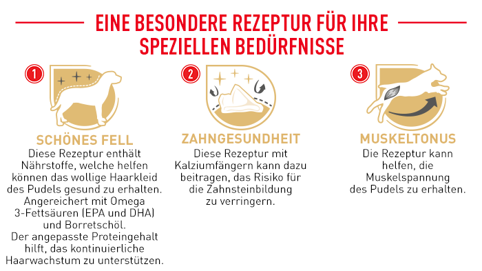 RoyalCanin_BHN_Poodle_Dry_rezeptur.png