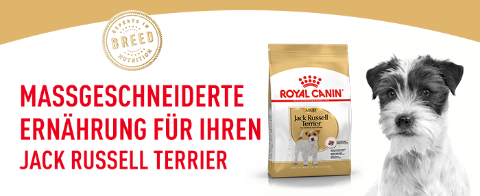 RoyalCanin_BHN_Jack_Russell_massgeschneidert.png