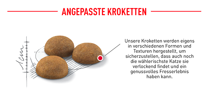 royal_canin_fhn_indoor_long_hair_angepasste_krokette_web.jpg