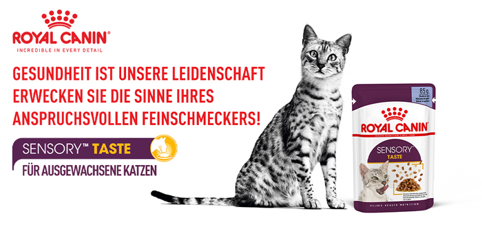 royal_canin_fhn_sensory_wet_nass_taste_jelly_gelee_erwecke_die_sinne_web.jpg