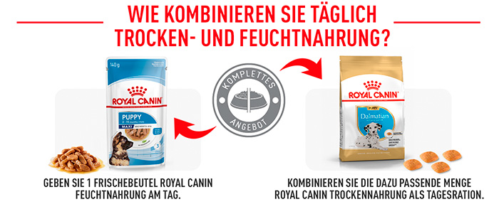 royal-canin-dalmatin-puppy-module-6.jpg