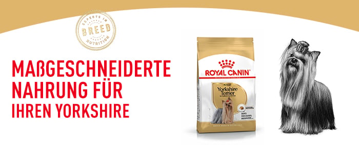 royal_canin_yorkshire_terrier_adult_massgeschneiderte_nahrung.jpg