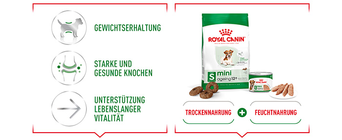 shn-mini-ageing-wet-loaf-de-module-3.jpg
