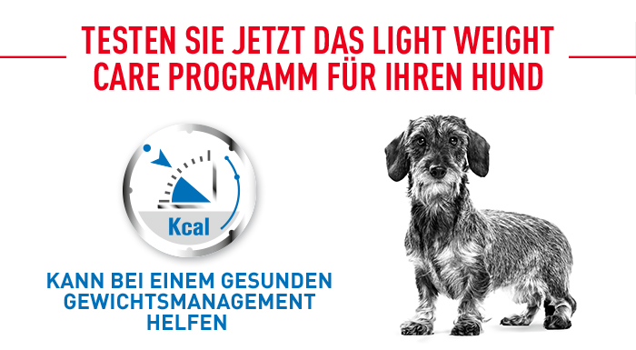 royal_canin_ccn_lightweight_care_nass_alle_groessen_jetzt_testen_web.jpg