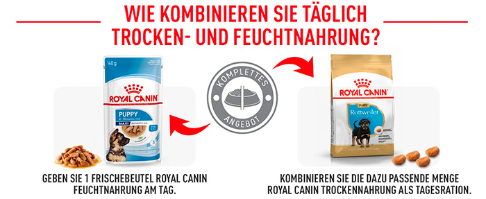 royal-canin-rottweiler-puppy-module-6.jpg