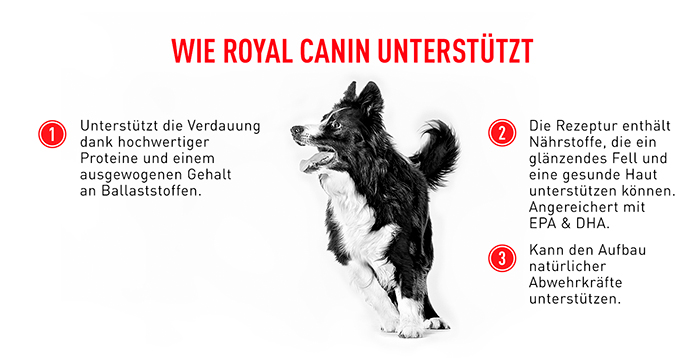 royal_canin_shn_medium_adult_wie_unterstuetzt_web.jpg