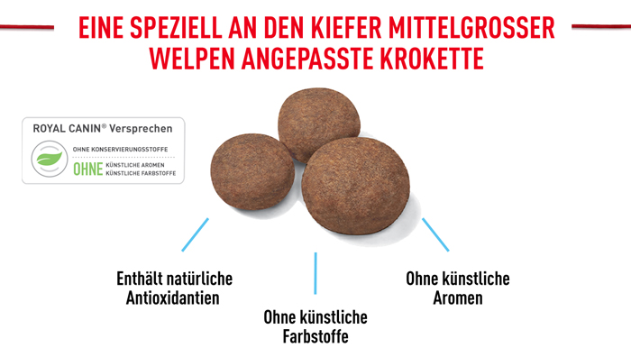royal_canin_shn_hund_medium_puppy_angepasste_kroketten_web.jpg