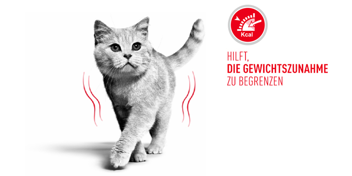 RoyalCanin_FCN_Light_Weight_Care_Gravy_gewicht.jpg