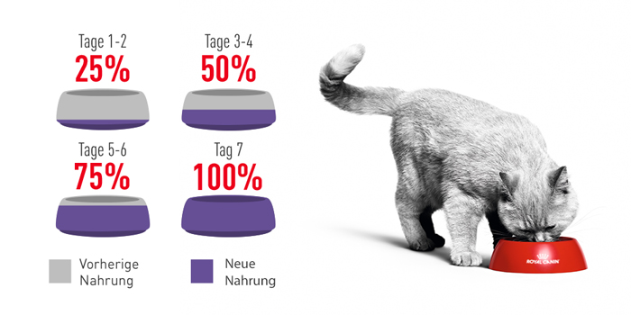 RoyalCanin_FCN_Appetite_Control_Care_Gravy_umstellung.jpg