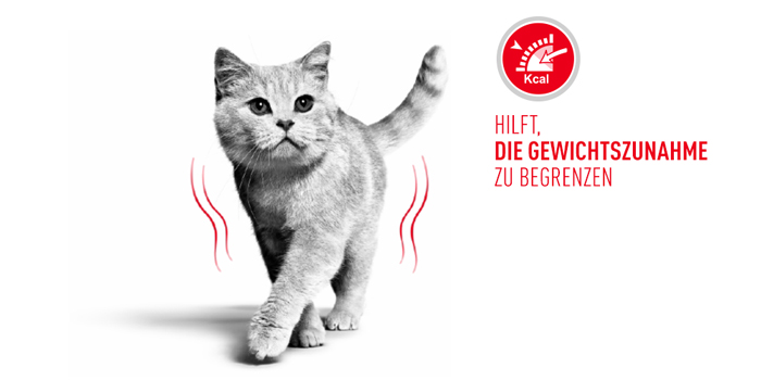 RoyalCanin_FCN_Light_Weight_Care_Jelly_gewicht.jpg
