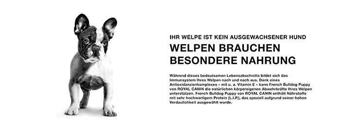 royal-canin-french-bulldog-puppy-module-2.jpg