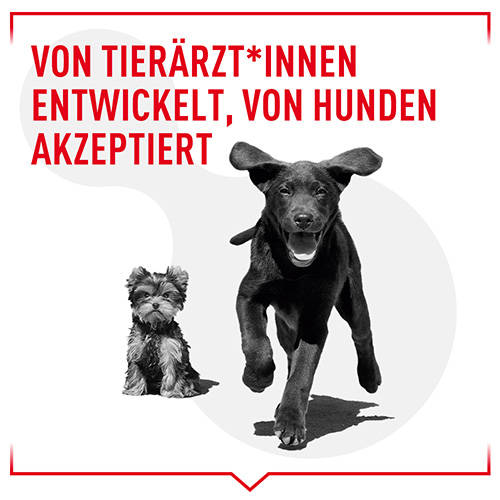 royal-canin-training-treats-von-tierarzten-entwickelt.jpg