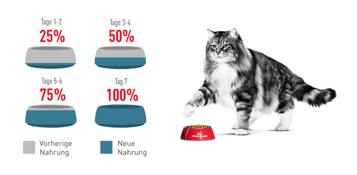 RoyalCanin_FCN_Hairball_Care_Dry_umstellung.jpg